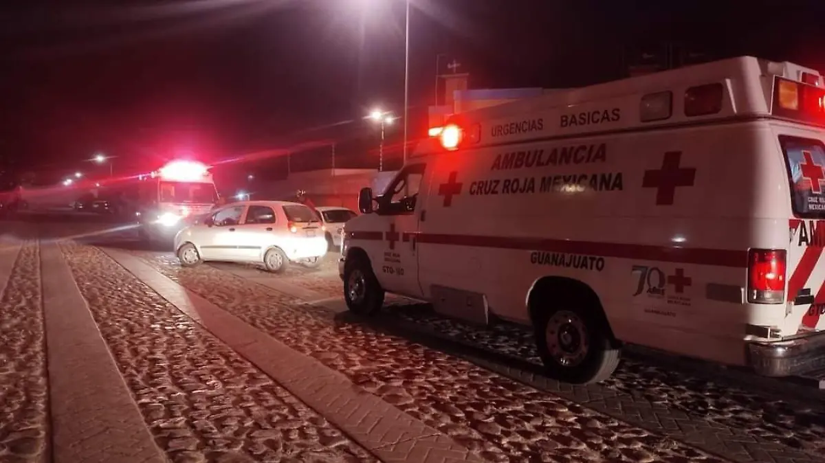 WhatsApp Image 2025-12-15 at 10.50.20 AM