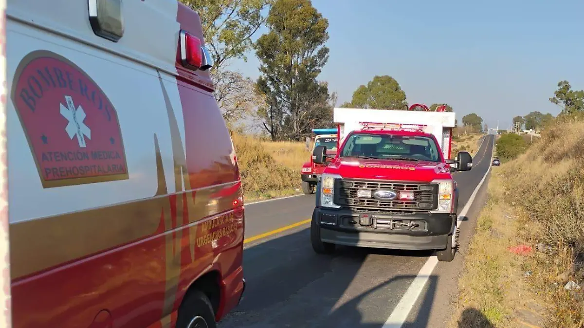 WhatsApp Image 2025-12-17 at 10.13.55 AM (1)