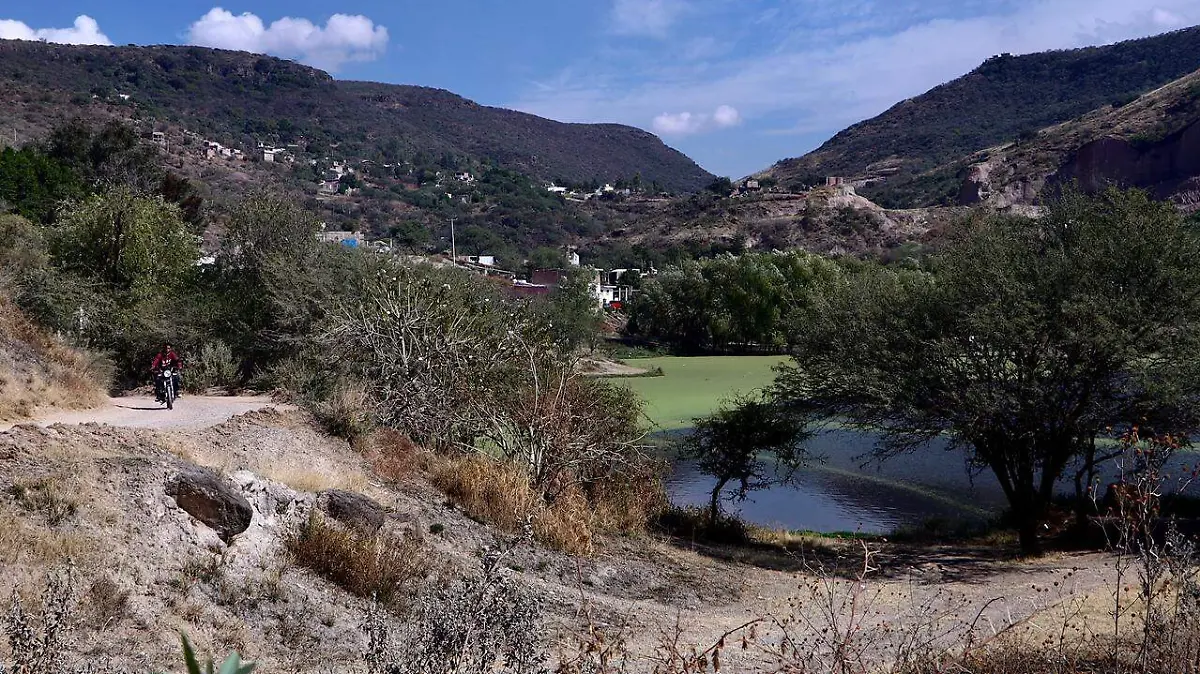 WhatsApp Image 2025-12-17 at 12.39.09 PM (1)