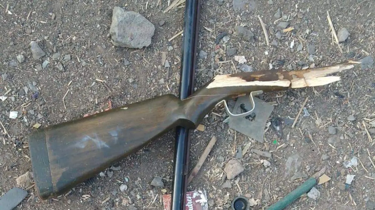 WhatsApp Image 2025-12-17 at 1.15.21 PM