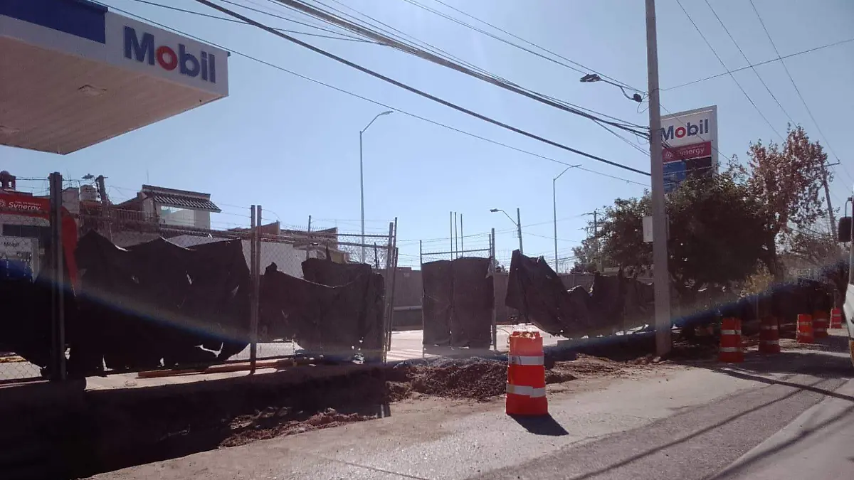 sol de leonWhatsApp Image 2025-12-27 at 2.09.12 PM-4