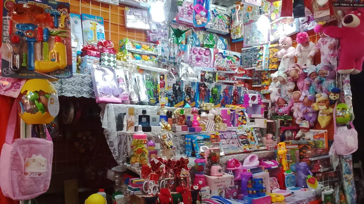 ROSARIO hORTA JUGUETES (6)