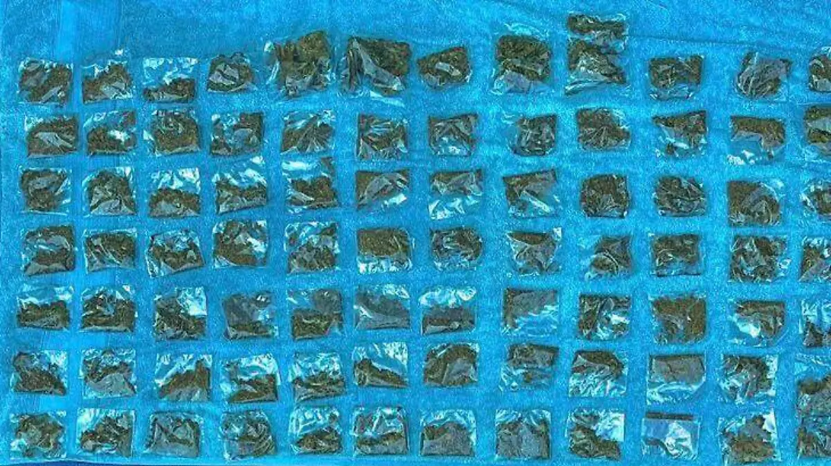 Cortesía SSPPC - DROGA (3)