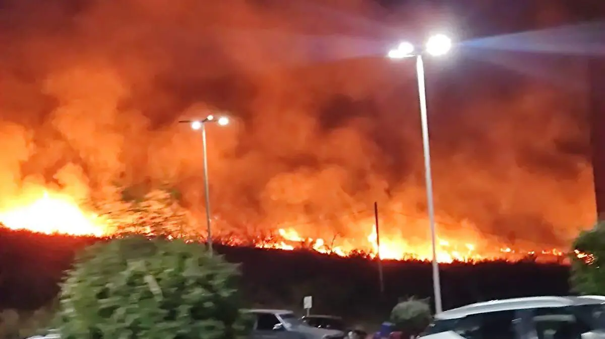 WhatsApp Image 2025-12-29 at 9.50.50 PM (3)