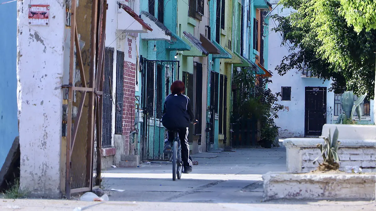 La Noria - Francisco Meza (6)