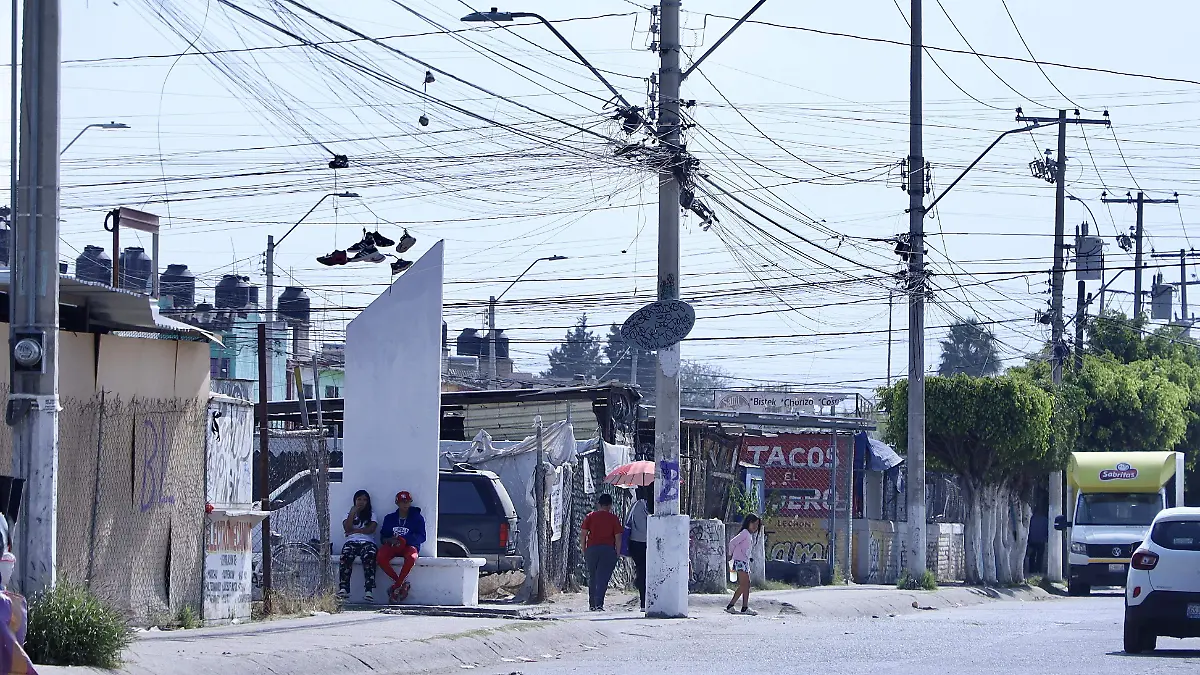 Noria Basura - Francisco Meza (1)