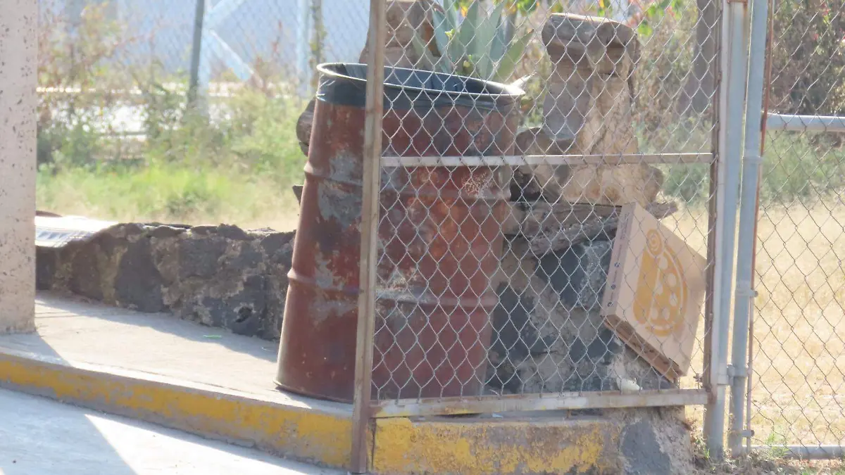 WhatsApp Image 2026-01-06 at 4.59.11 PM