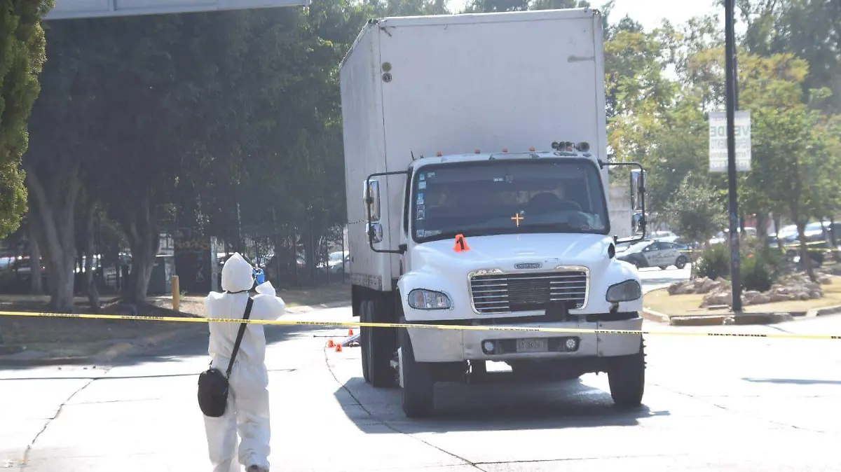 WhatsApp Image 2026-01-08 at 11.17.10 AM