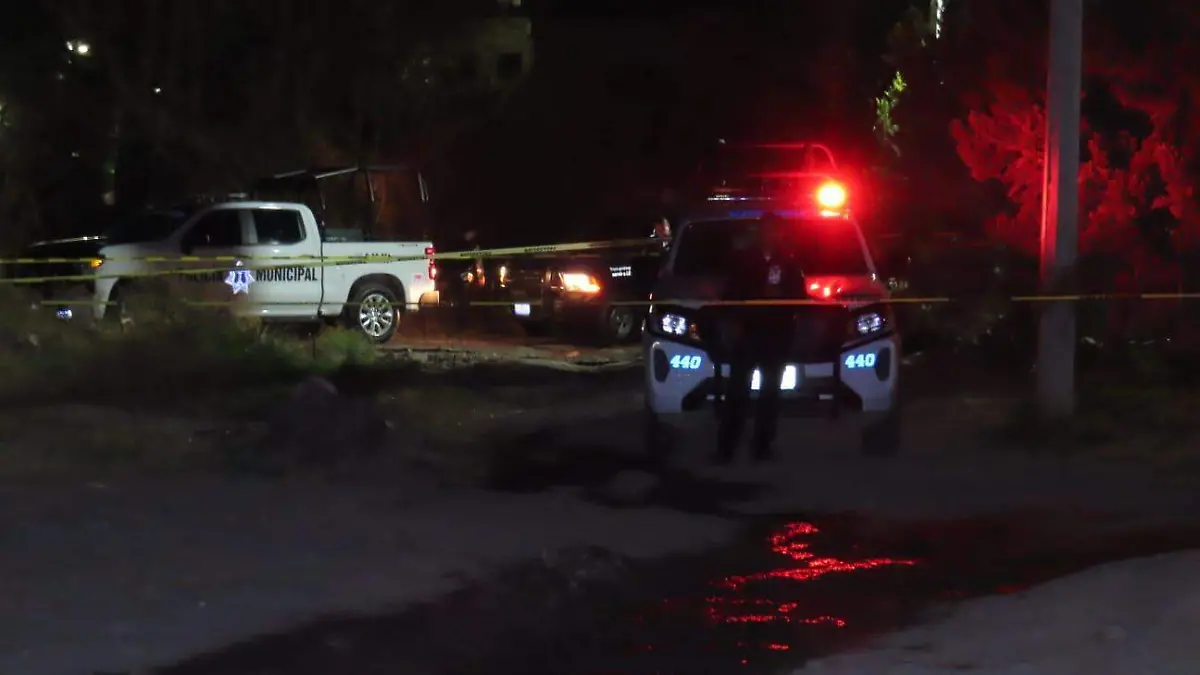 WhatsApp Image 2026-01-08 at 9.49.14 PM