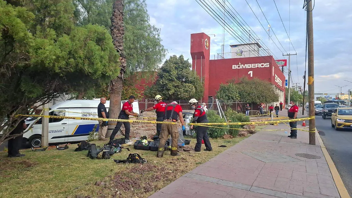 WhatsApp Image 2026-01-14 at 5.45.51 PM