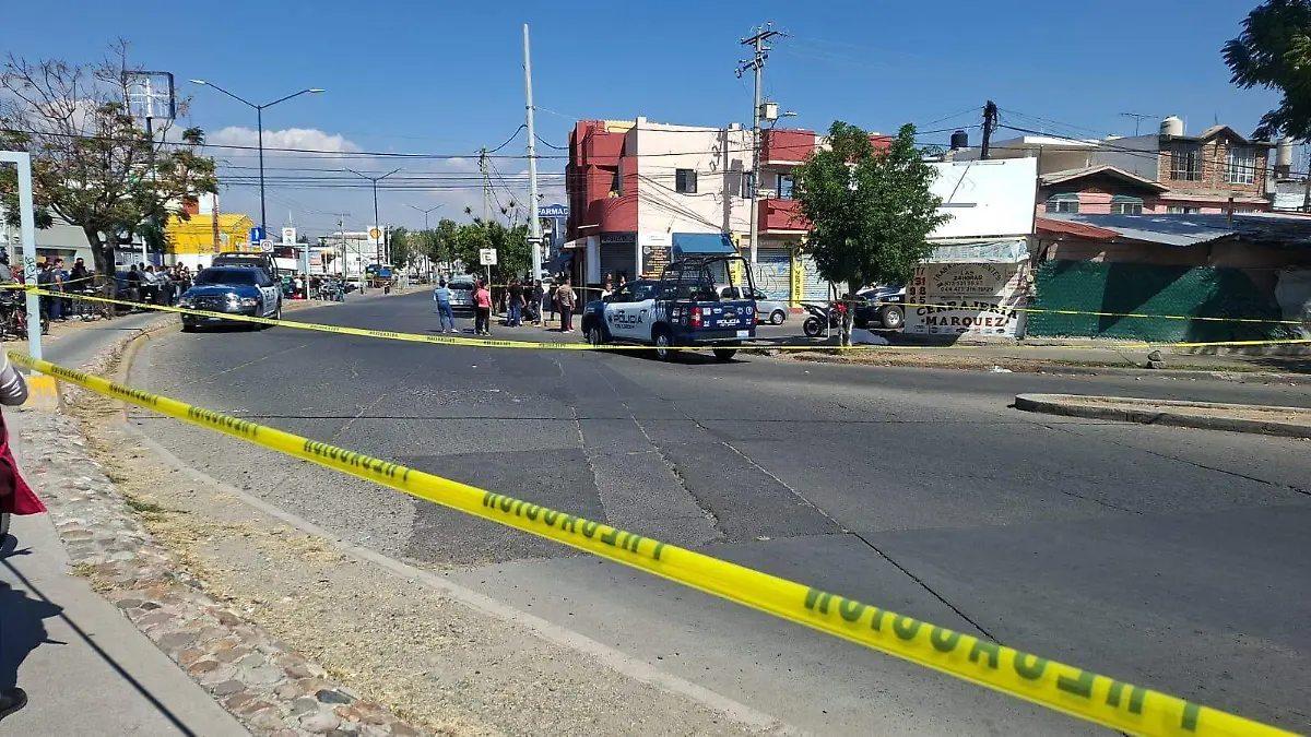 WhatsApp Image 2026-01-16 at 8.16.39 PM