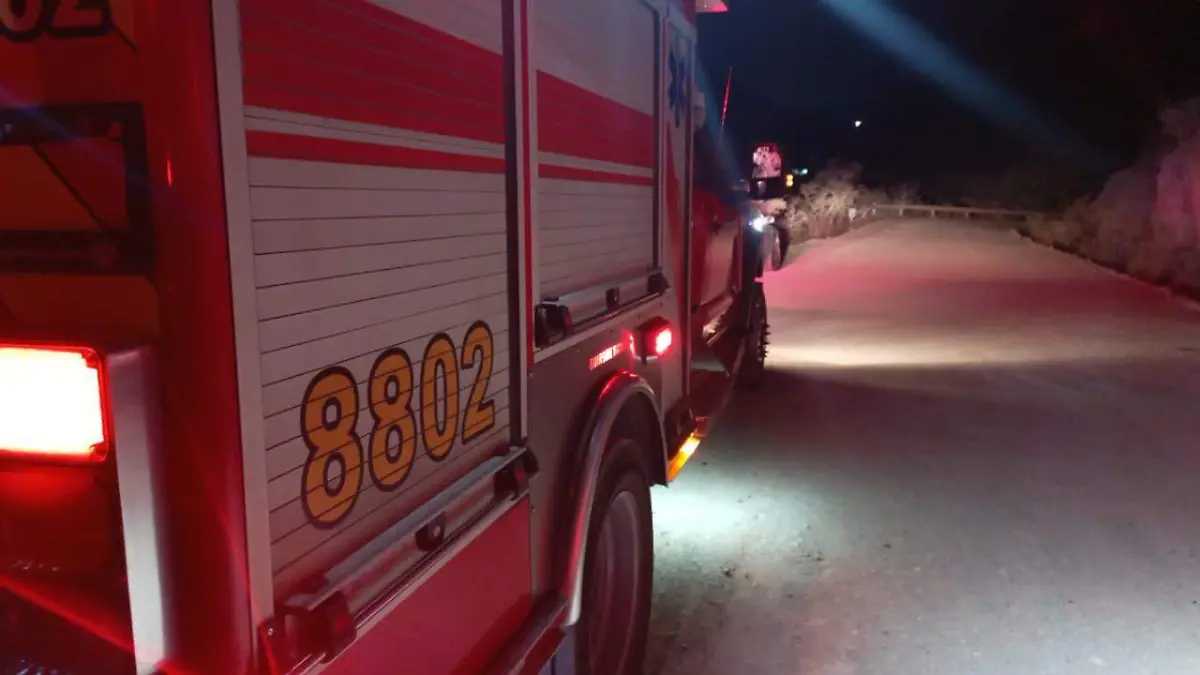 WhatsApp Image 2026-01-18 at 10.03.24 AM