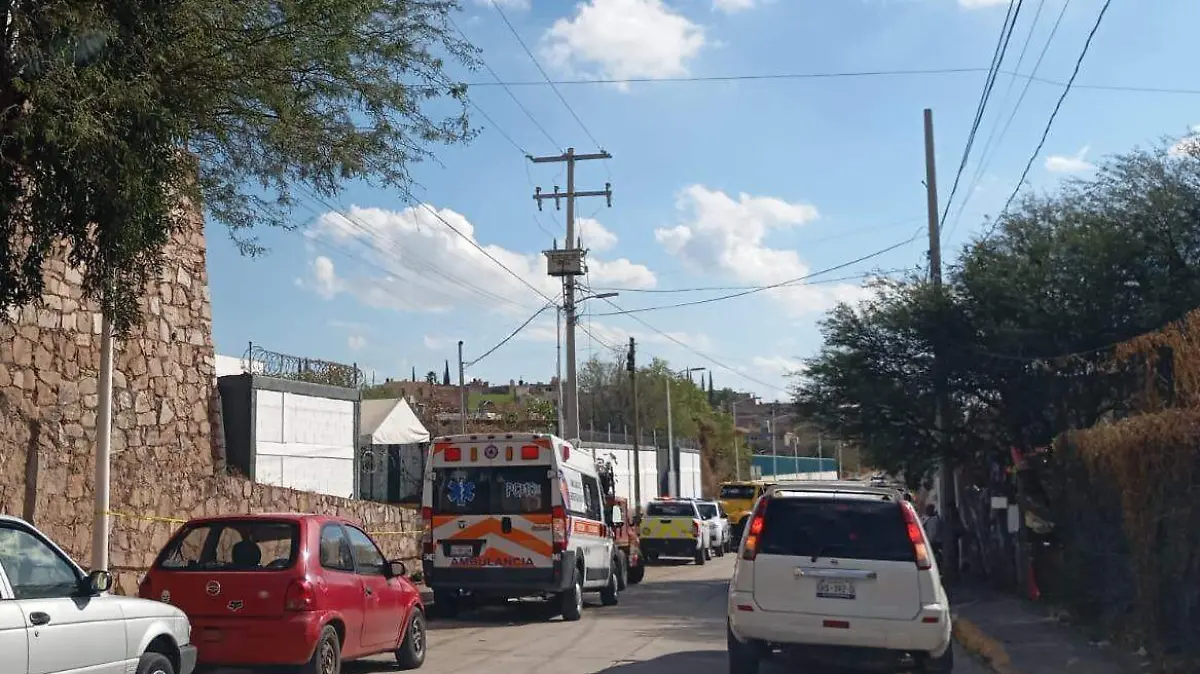 WhatsApp Image 2026-01-21 at 4.46.10 PM