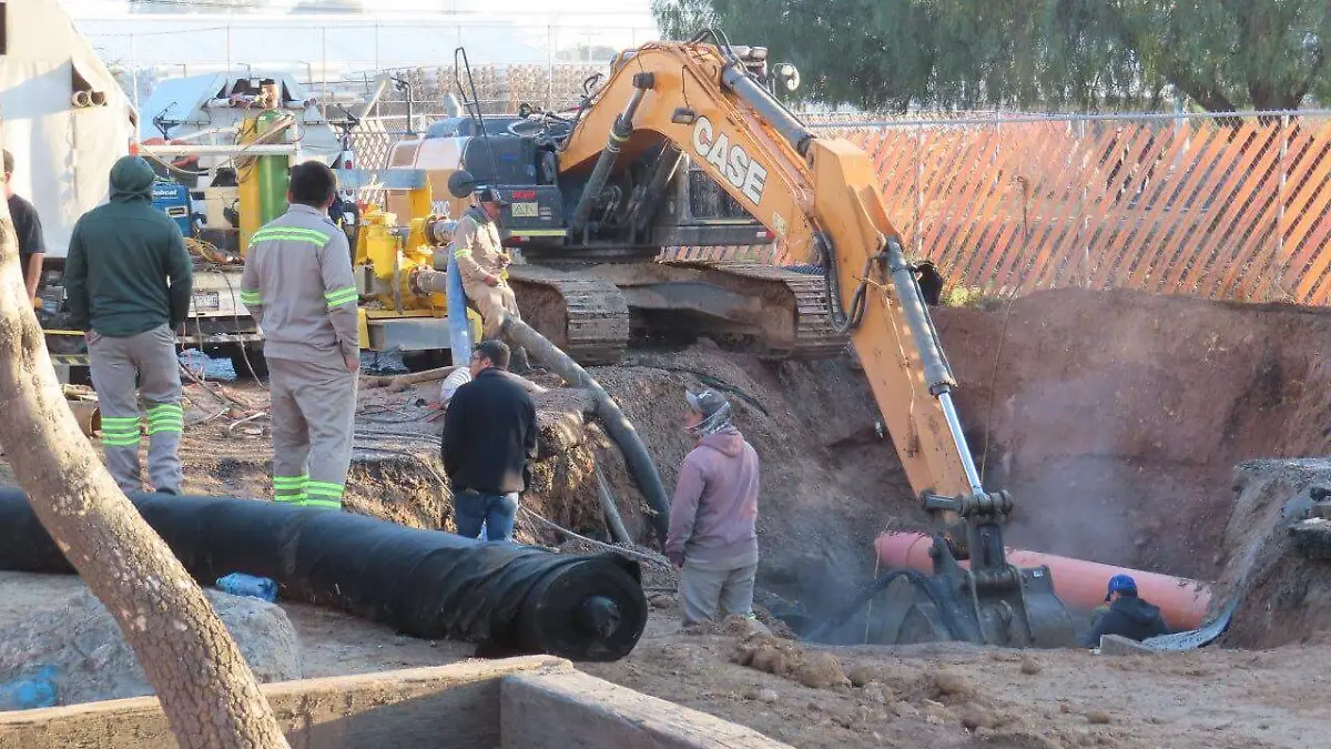 WhatsApp Image 2026-01-22 at 9.49.04 PM