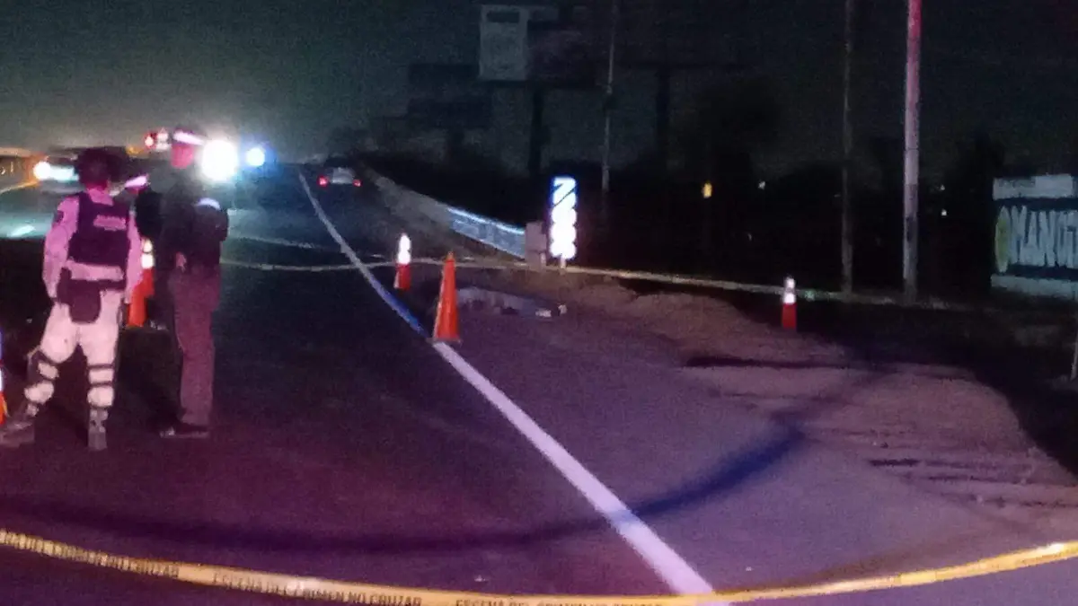 WhatsApp Image 2026-02-03 at 9.46.31 PM