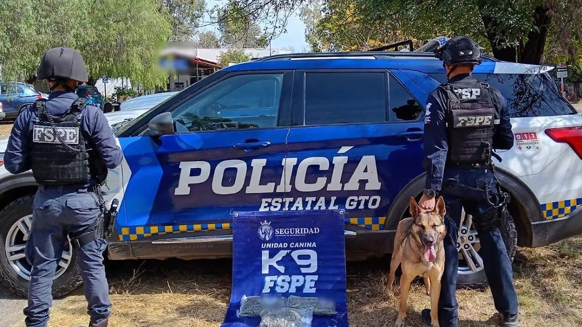 Asegura Unidad Canina vapeadores con marihuana en León 00