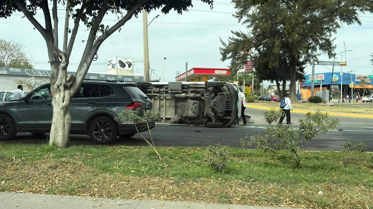 WhatsApp Image 2026-02-08 at 1.14.07 PM