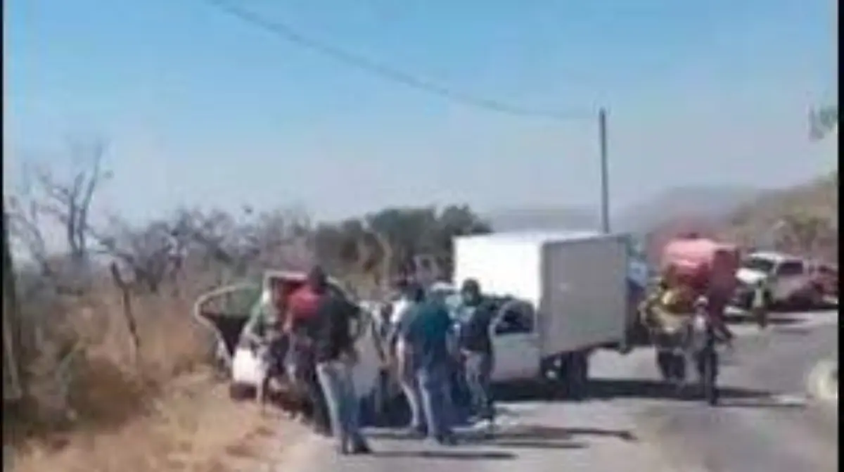 WhatsApp Image 2026-02-12 at 2.57.40 PM