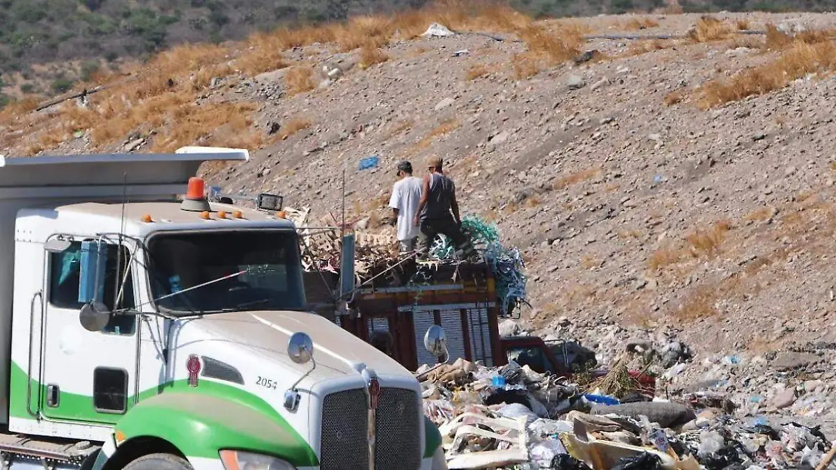 Captura de pantalla 2026-02-12 195901