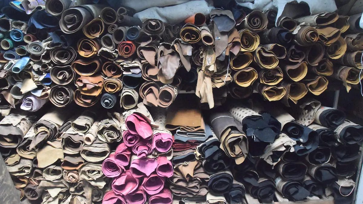 f carmona PIELES (3)