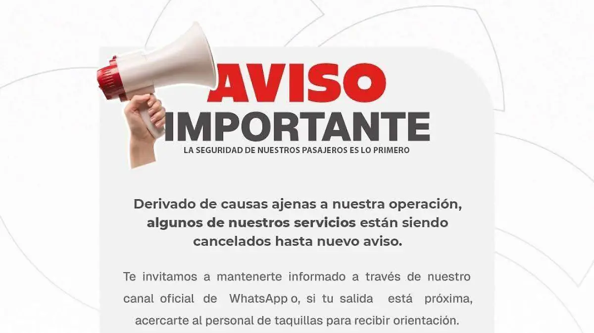 WhatsApp Image 2026-02-22 at 11.48.43 AM