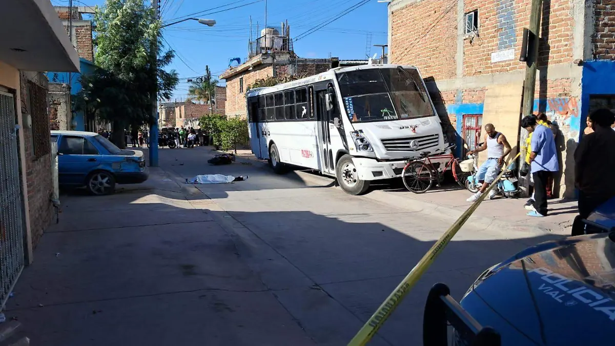 WhatsApp Image 2026-02-22 at 9.24.46 AM