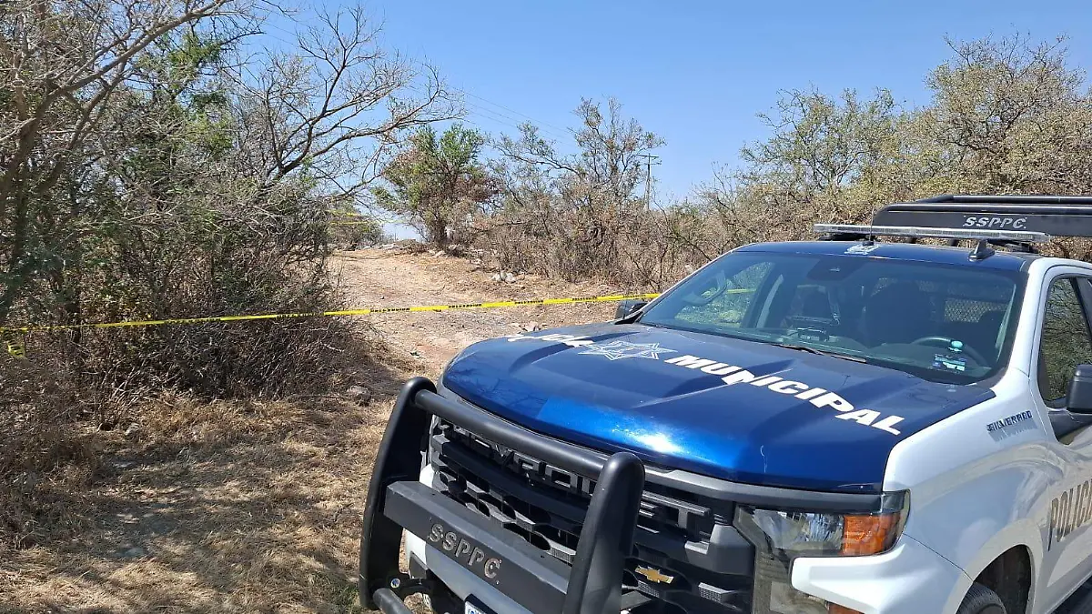 Cortesía - HALLAZGO ALFARO