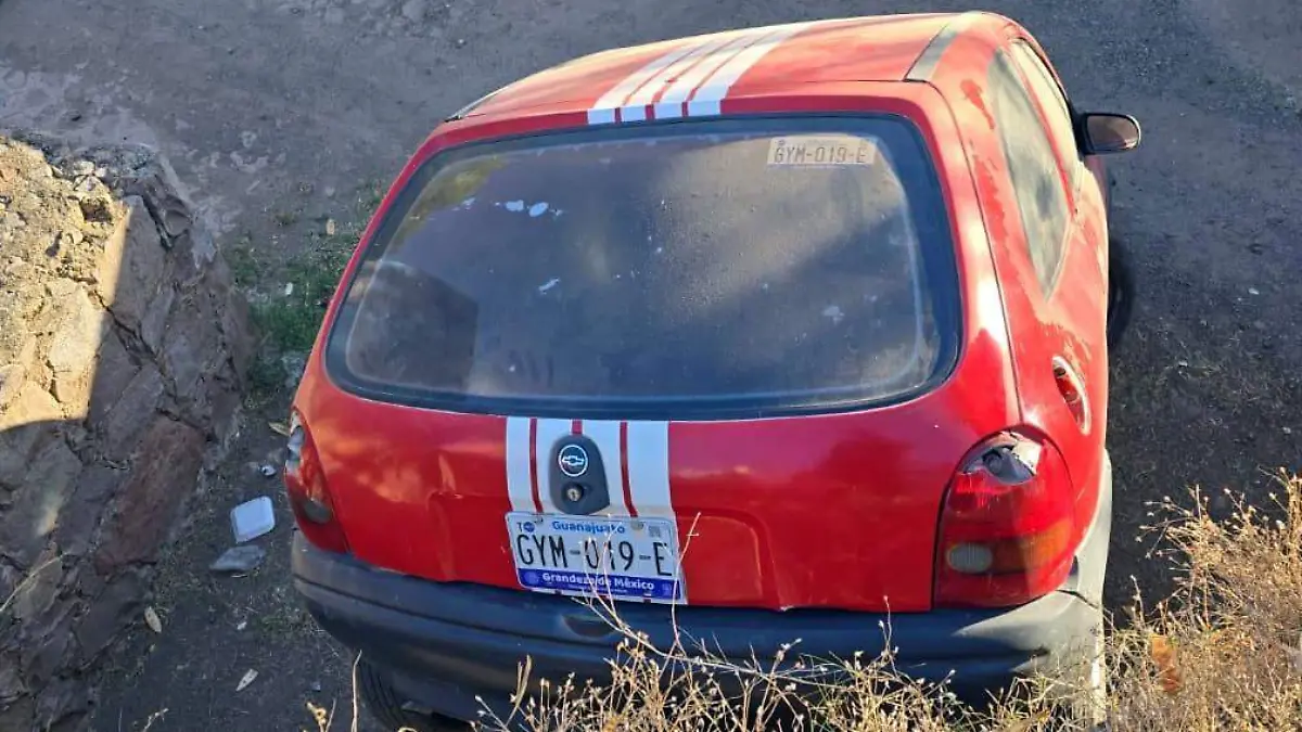 Un auto se quedó sin frenos y cayó junto al parque