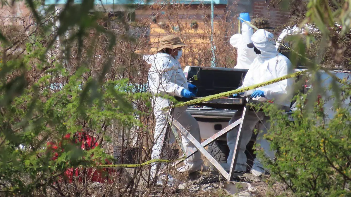 cortesía - CAÑADA DEL REAL 