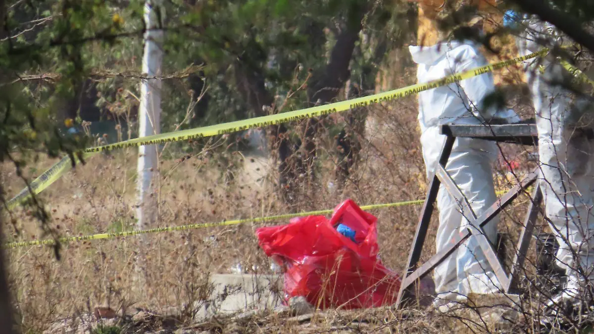 Hallan restos óseos en drenaje de colonia Cañada del Real; Fiscalía investiga