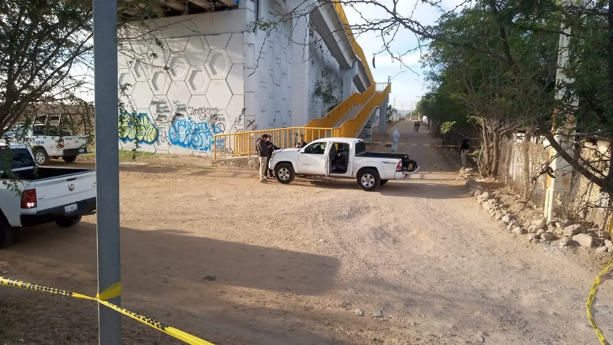 WhatsApp Image 2026-03-11 at 8.11.14 AM