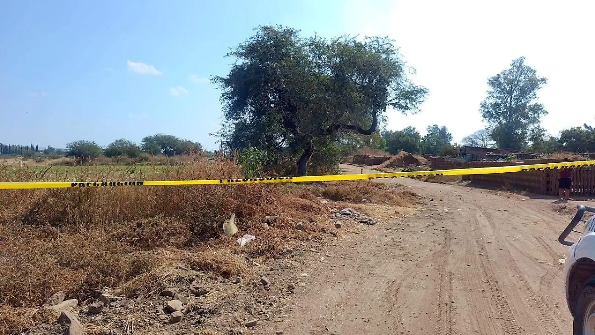 Archivo (Ilustrativa) - Cortesía - SILAO HALLAZGO