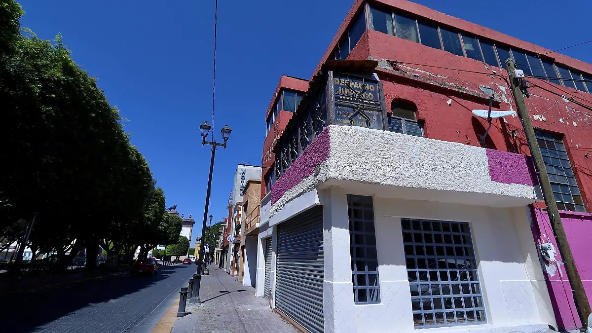 Arcadia - Francisco Meza (5)