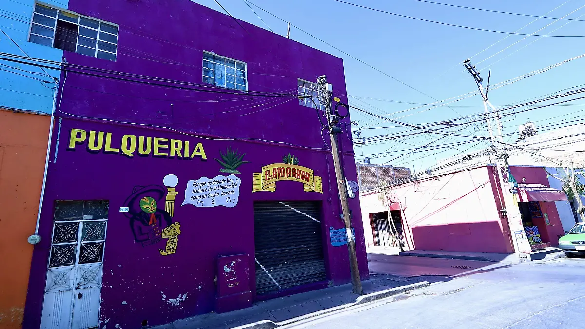 La Llamarada - Francisco Meza (6)