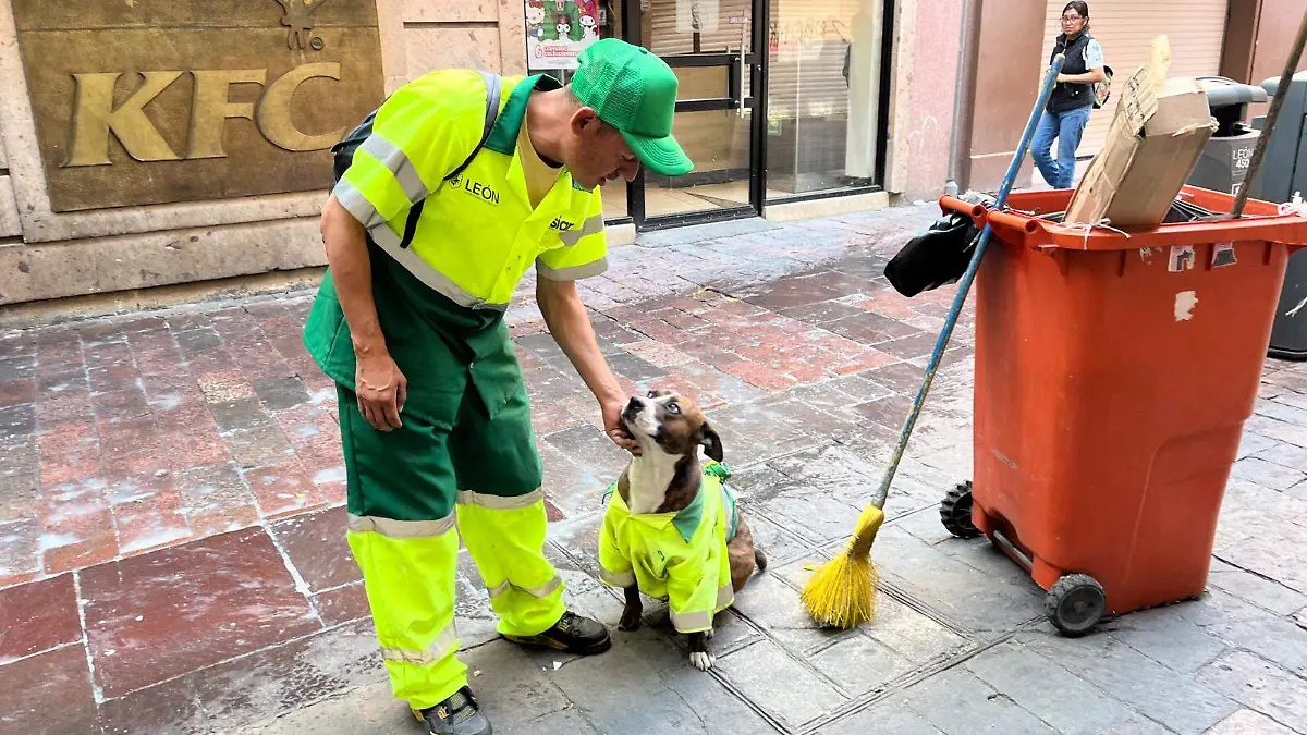ROSARIO HORTA ROCKY (3)