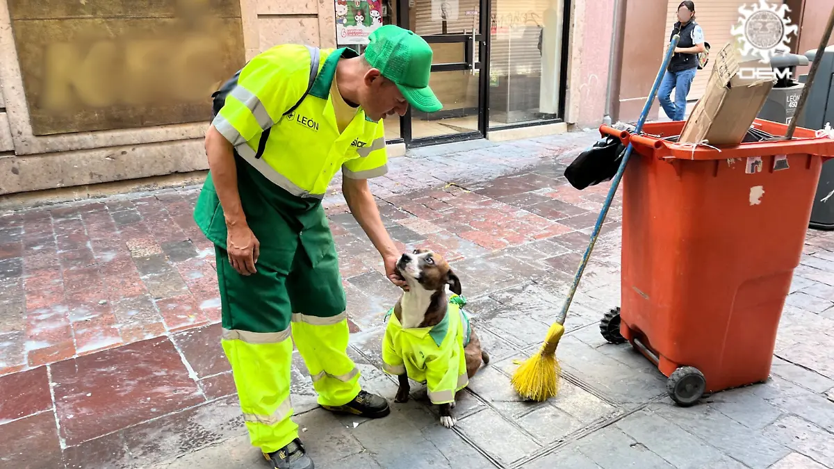 FOTOS SOL y VESP-118