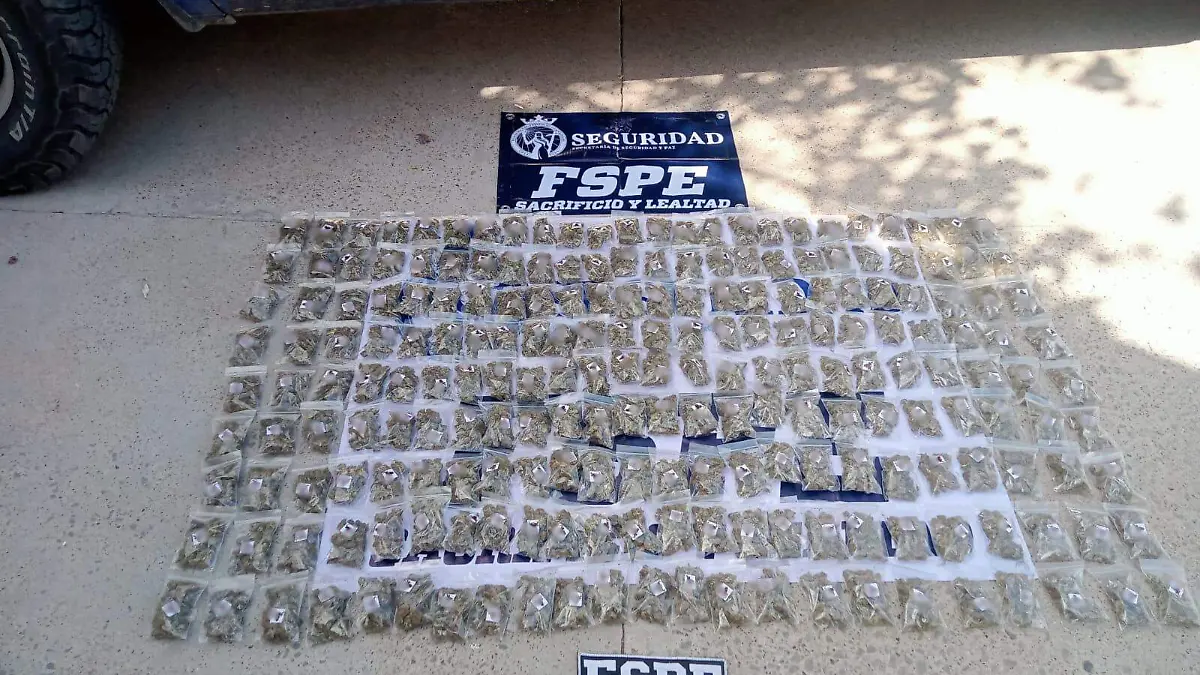 Asegura FSPE más de 2 mil dosis de marihuana 01