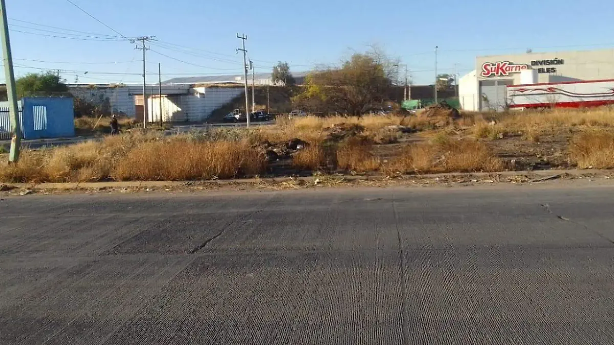 Cortesía - HALLAZGO