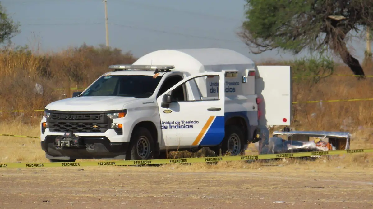 Cortesía - HALLAZGO CERRITO DE JEREZ