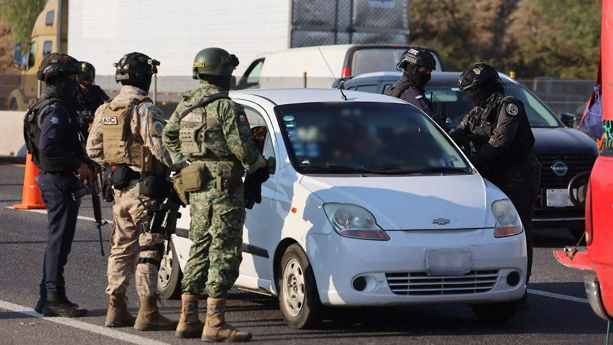 WhatsApp Image 2026-04-01 at 2.04.08 PM-2