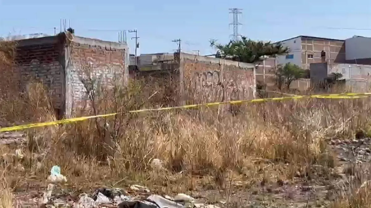 cortesía - HALLAZGO  (1)