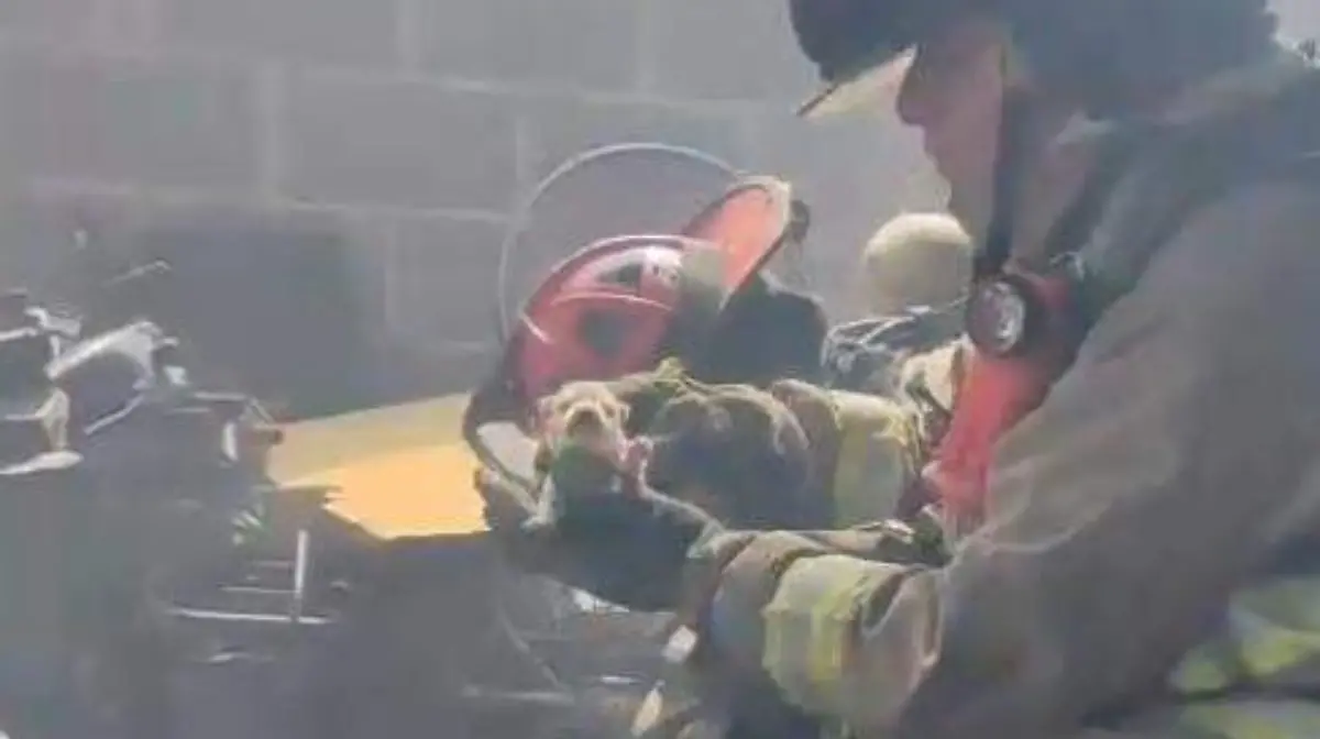 cortesía - Bomberos