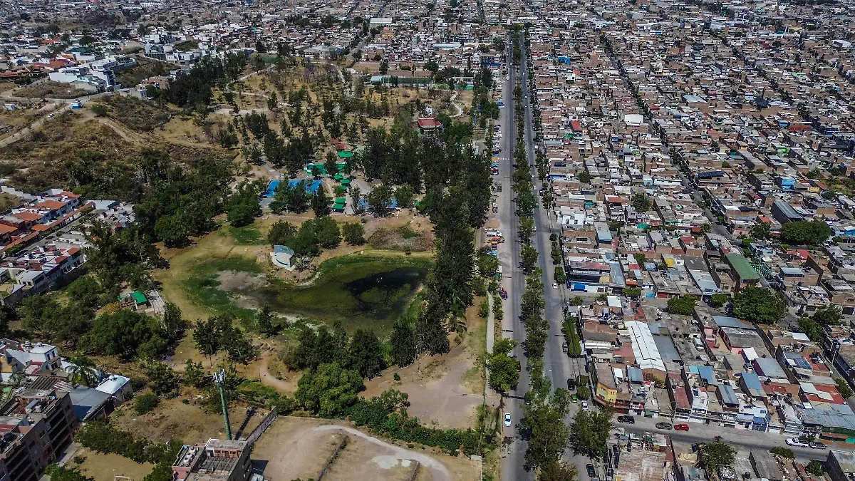 Parque Chapalita - Francisco Meza (2)