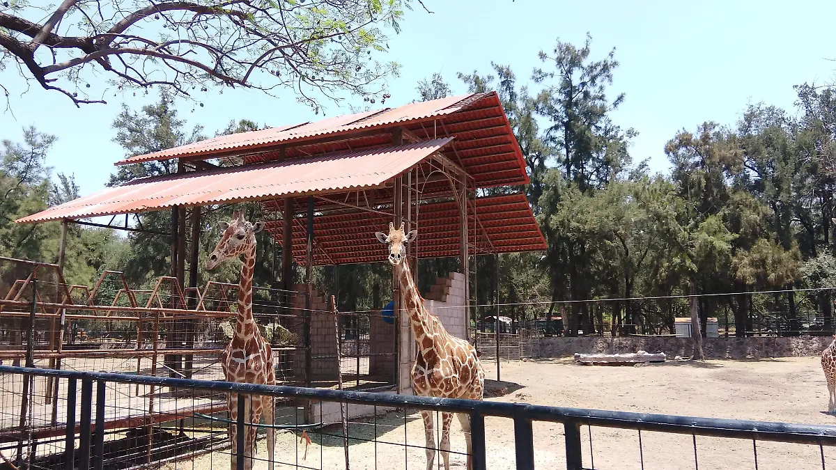 VISITANTES ZOO-ROCÍO GODÍNEZ  