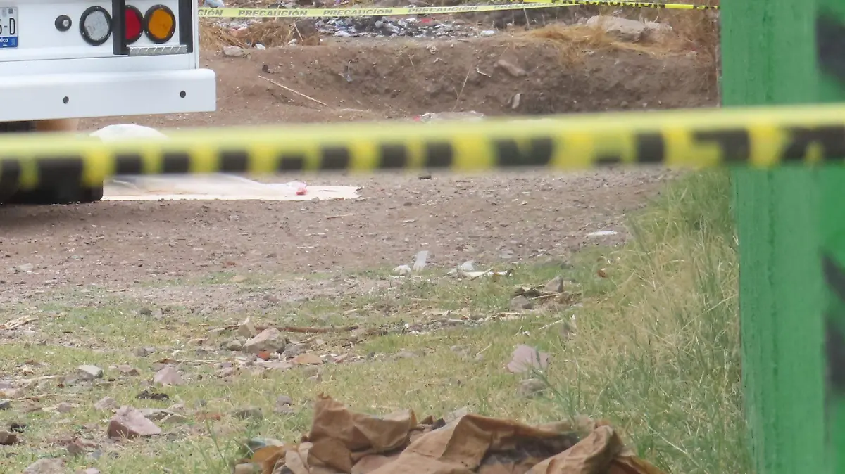 ARCHIVO HOMICIDO PERITAJE