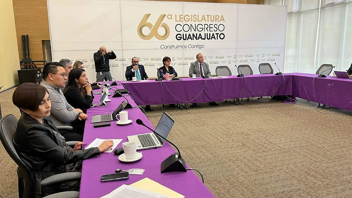 Guanajuato – Registro Estatal de Personas Cuidadoras para Guanajuato no se aprobará (1)