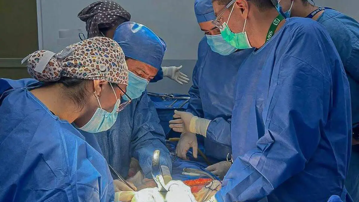 CORTESIA IMSS (3)