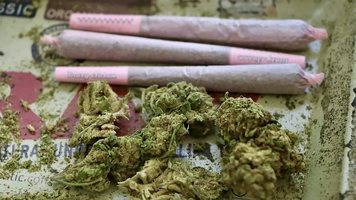 Archivo (Ilustrativa) - MARIHUANA