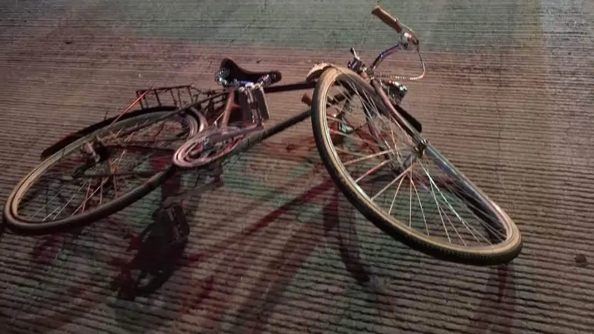 BICI CICLISTA