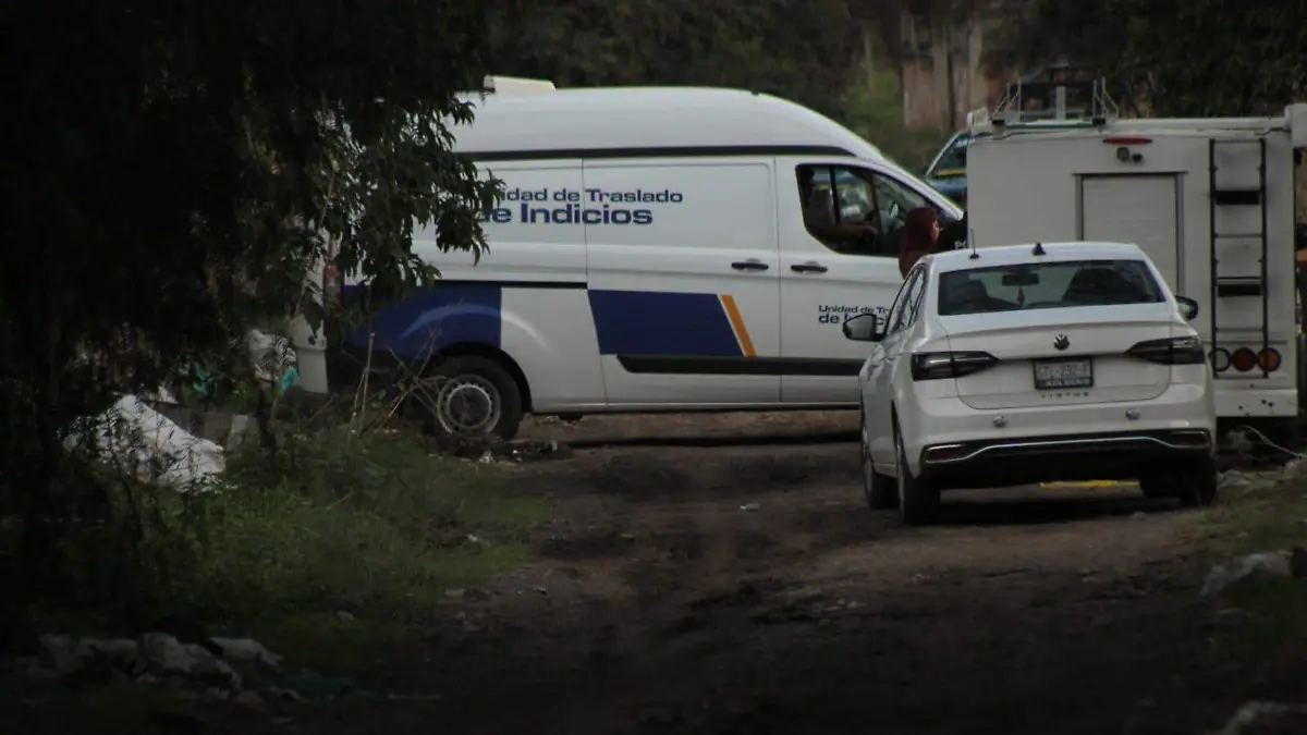 embolsado león foto_ Noticias Vespertinas 